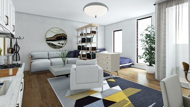 salon pequeño con alfombra moderna de estilo contemporáneo