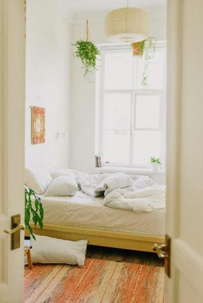 dormitorio decorado con plantas y alfombra